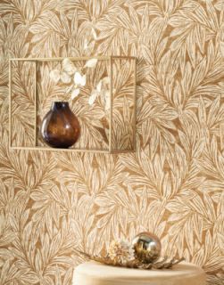 DCG's new partner - CASADECO