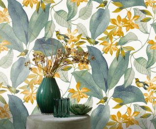 DCG's new partner - CASADECO