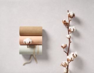 DCG's new partner - CASADECO