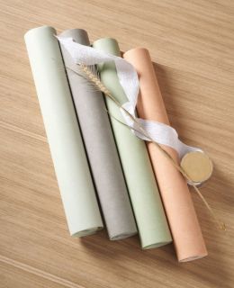 DCG's new partner - CASADECO